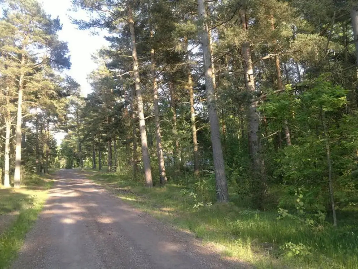 Well-equipped Beachside Cottage