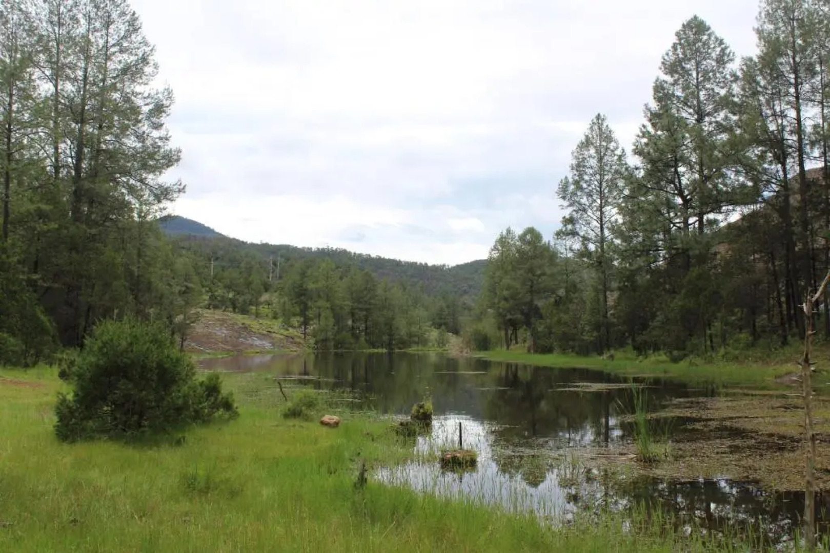 Hotel Paraiso del Oso