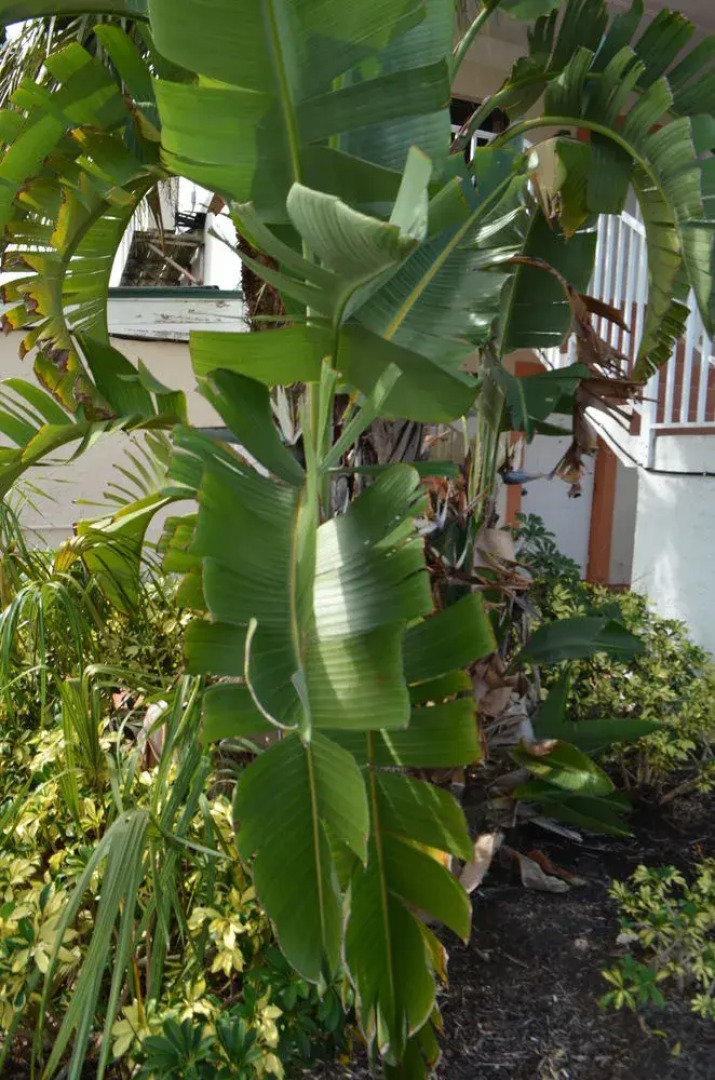 Tip Top Isles Waterfront Resort & Marina