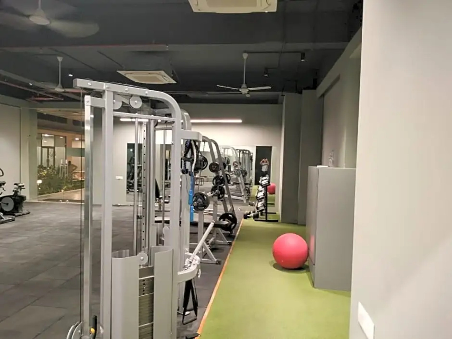 The Camellia by YUHI