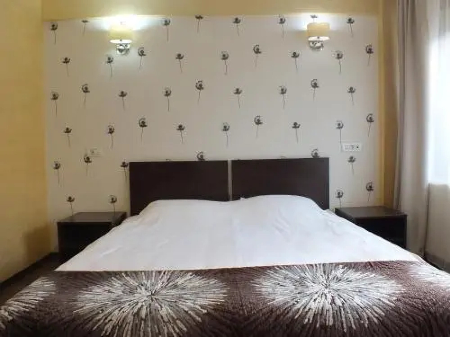 Pensiunea Steaua Nordului