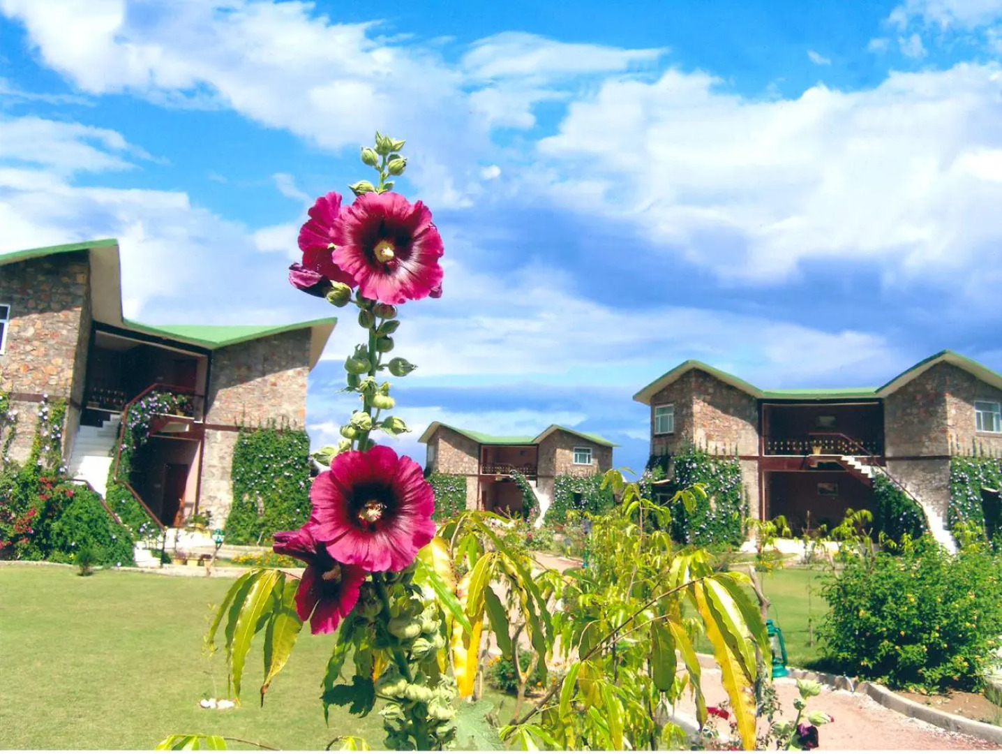 The Fern Ranthambore Forest Resort