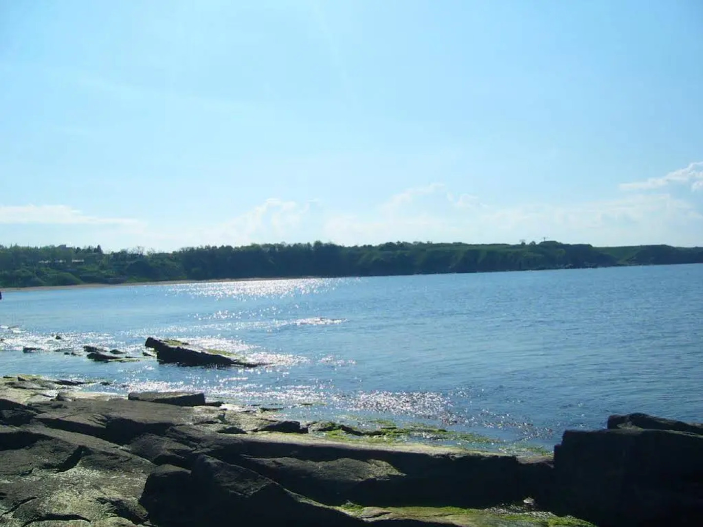 Ice Garden Guest House