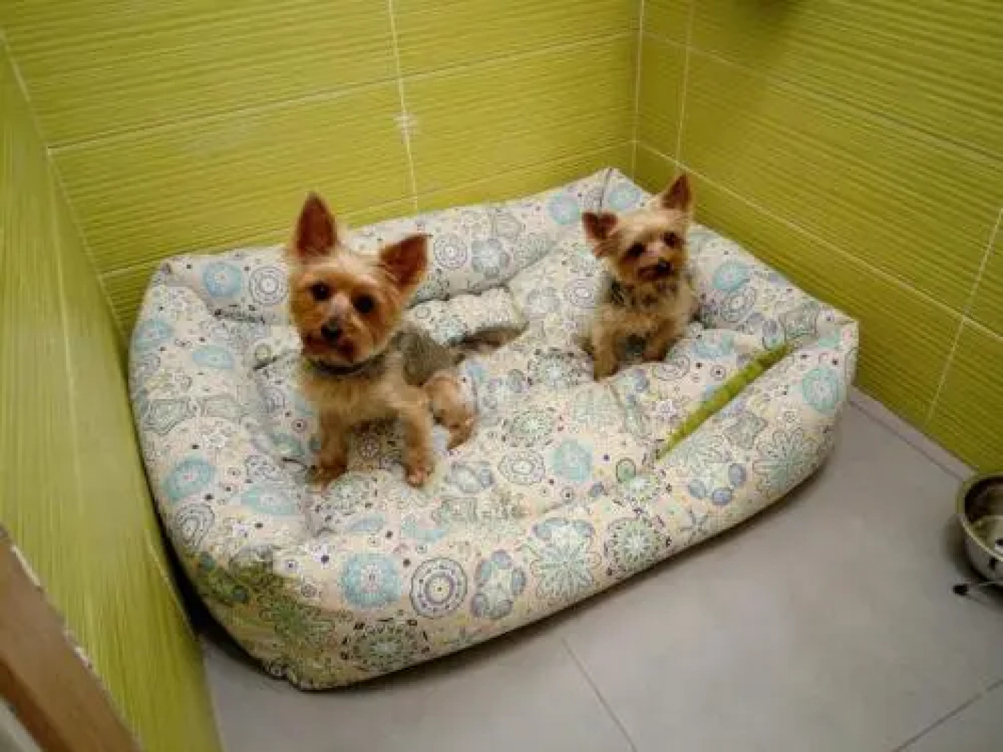 Casa Rural "El Paseo del libro"