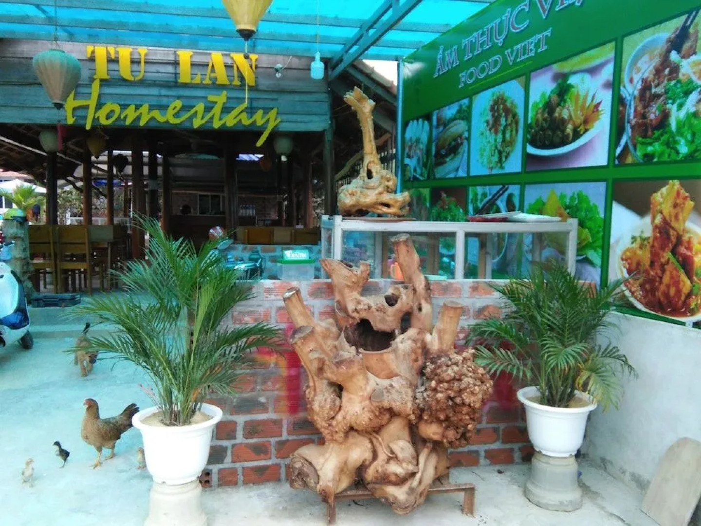 Tu lan phong nha homestay