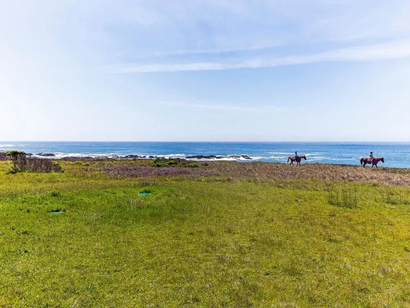 Ariel formerly Tre Sorelle by RedAwning