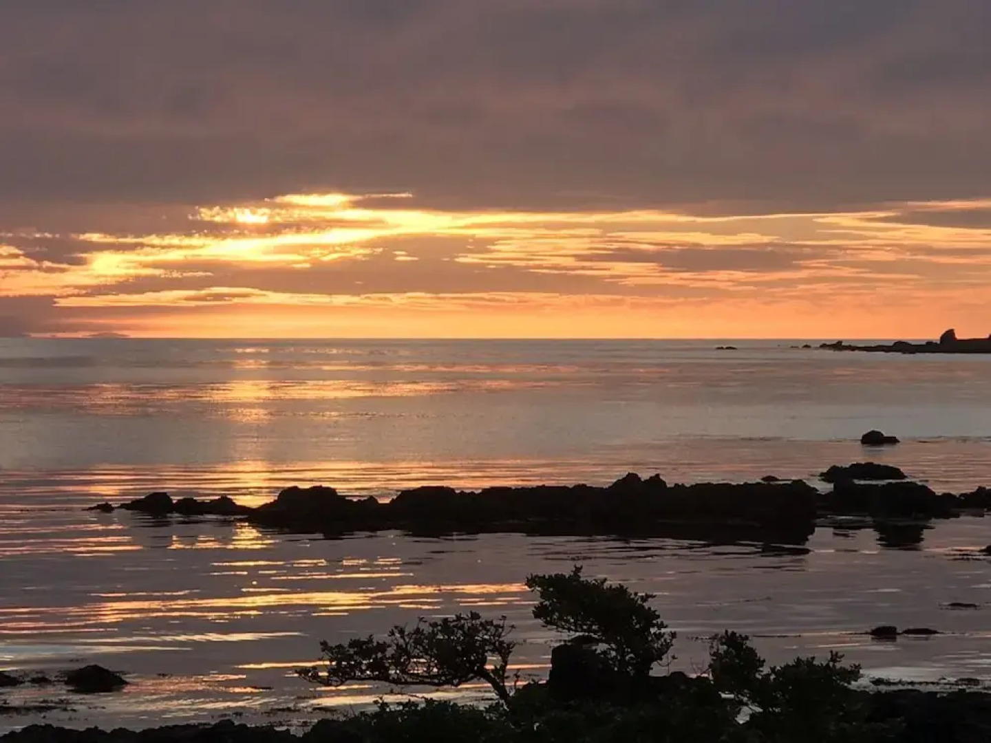 Wellington Beach Suite