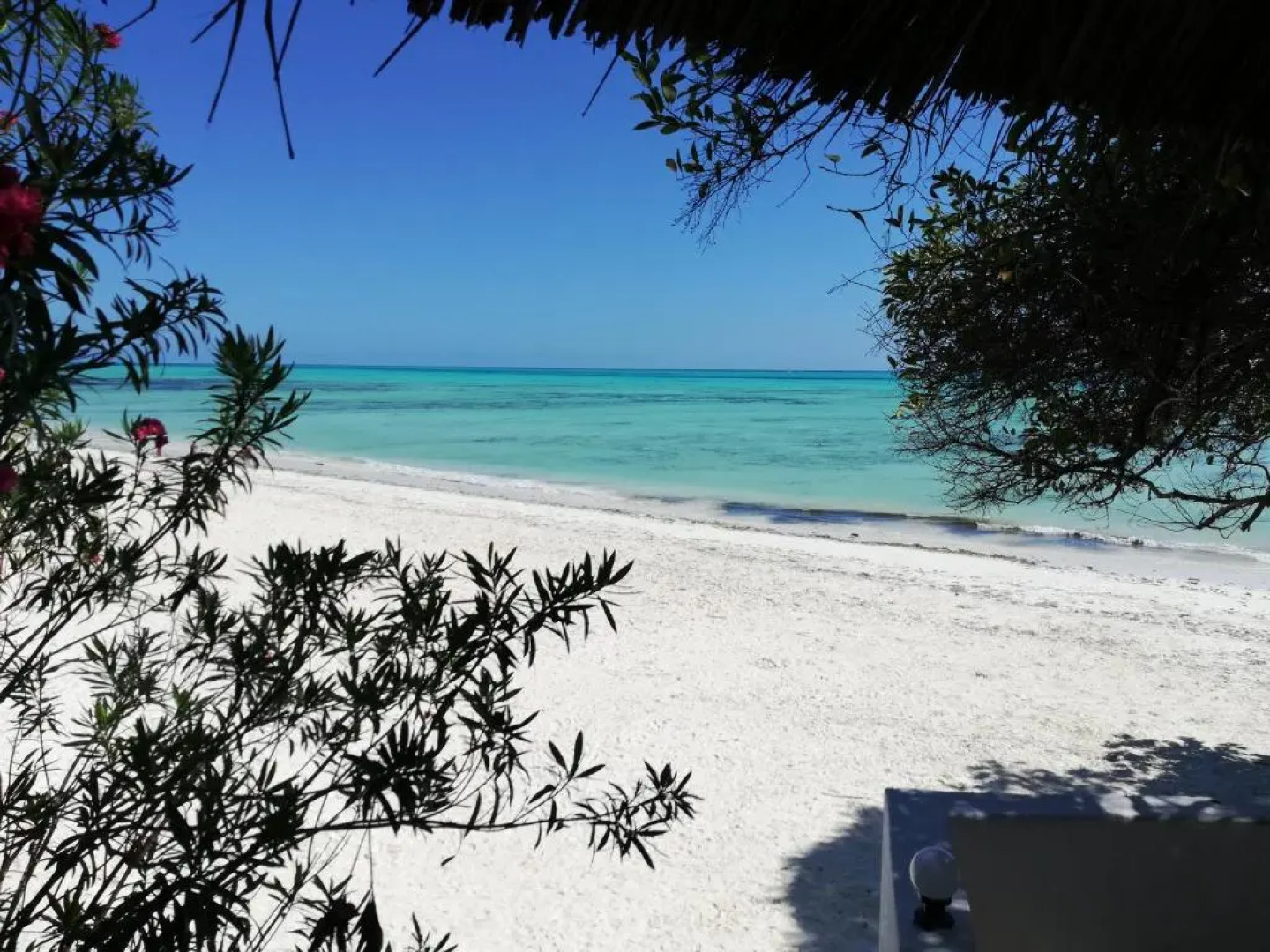 Red Monkey Beach Lodge