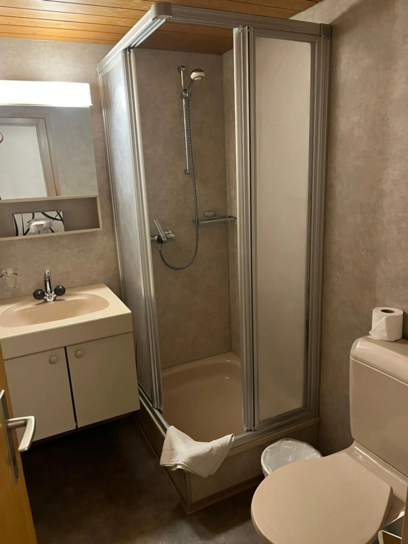 Historic Hotel Steinbock