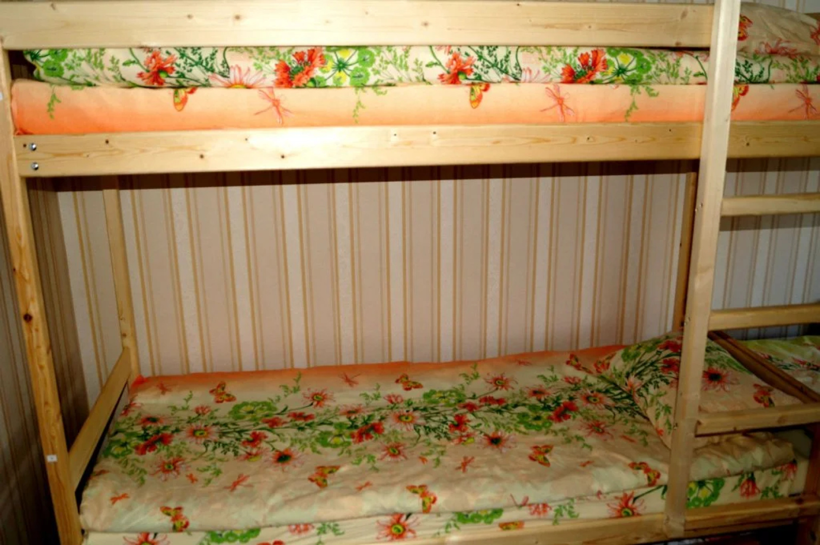 Hostel Cheryomushki
