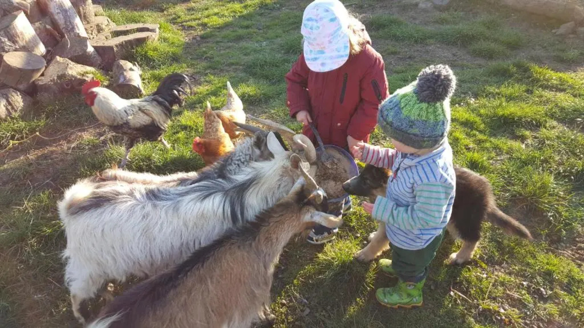 Wendron Plant Nursery Lettings