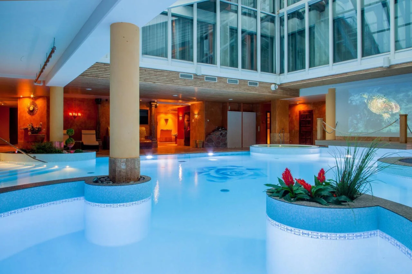 Отель Grand Rose SPA