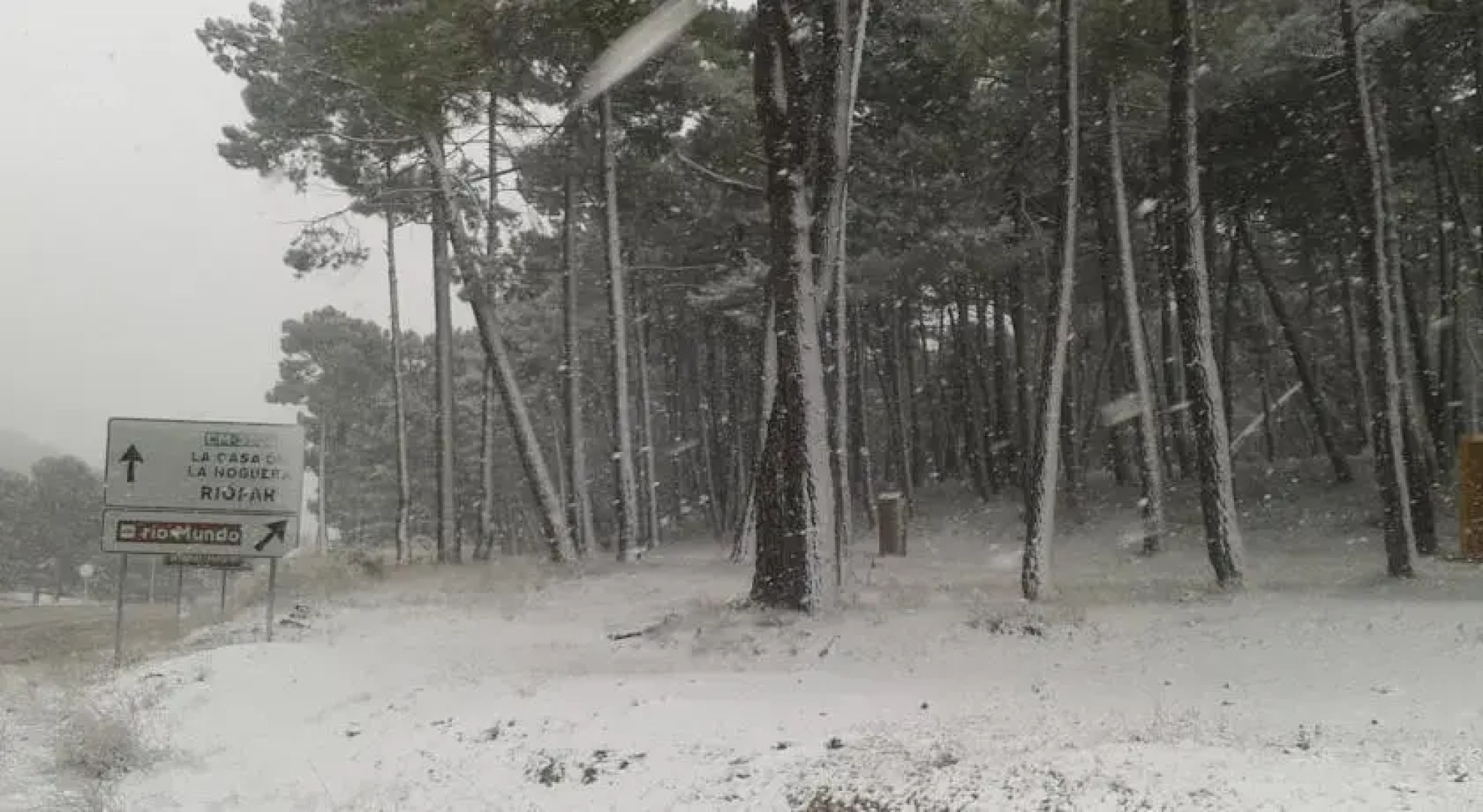Los Pinos De Riopar