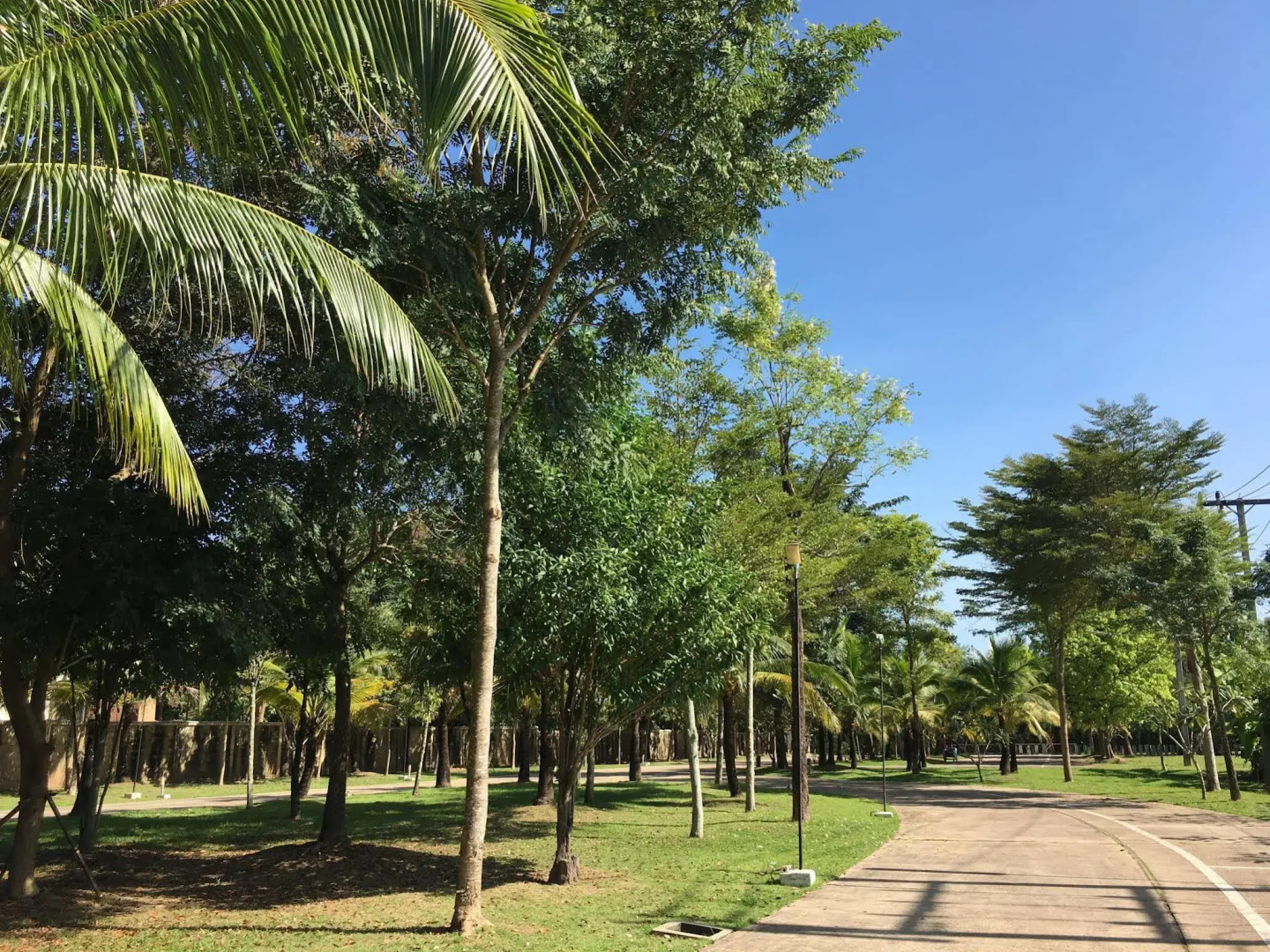 Vana Wellness Resort