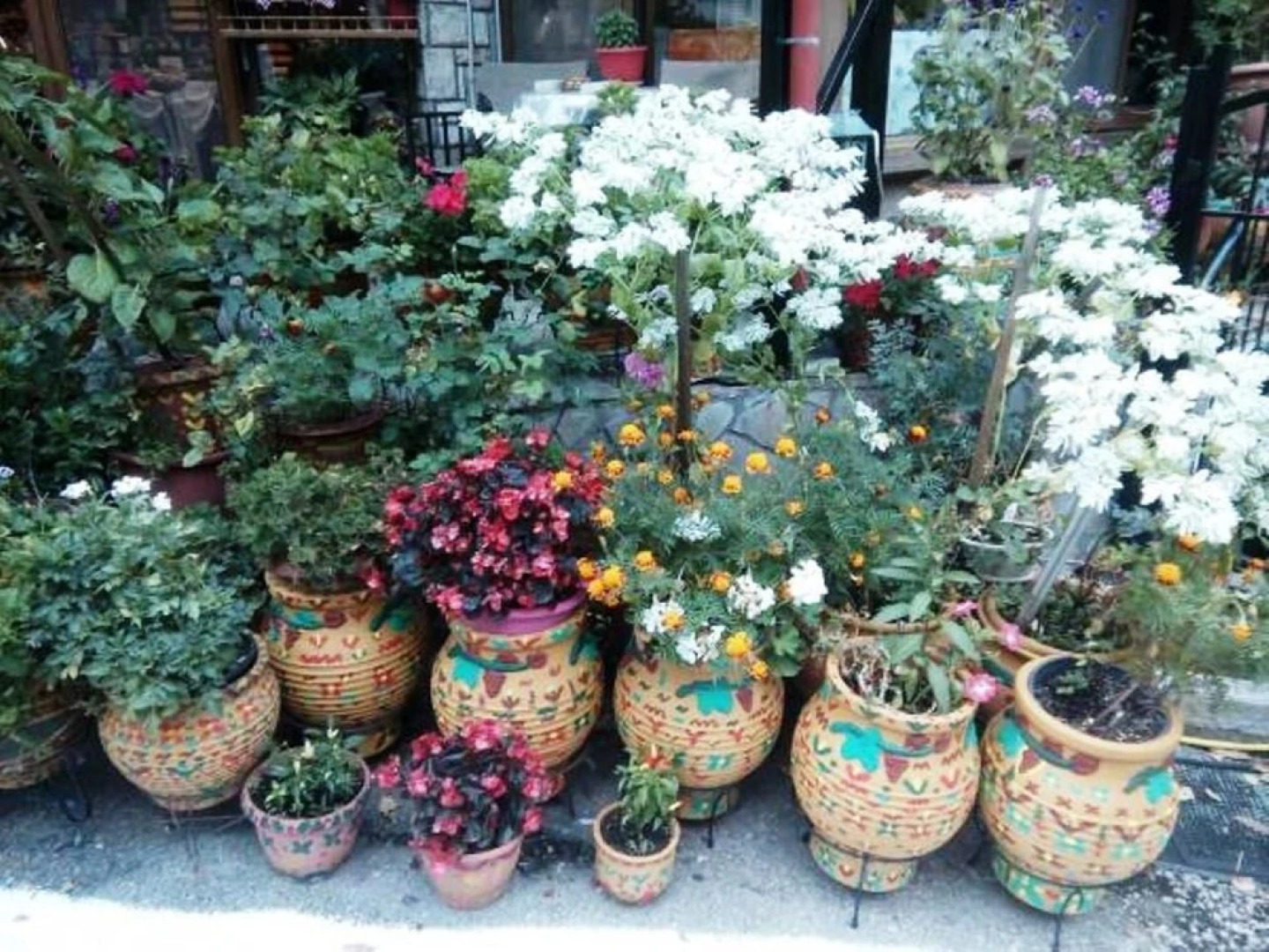 4seasons Near Airport