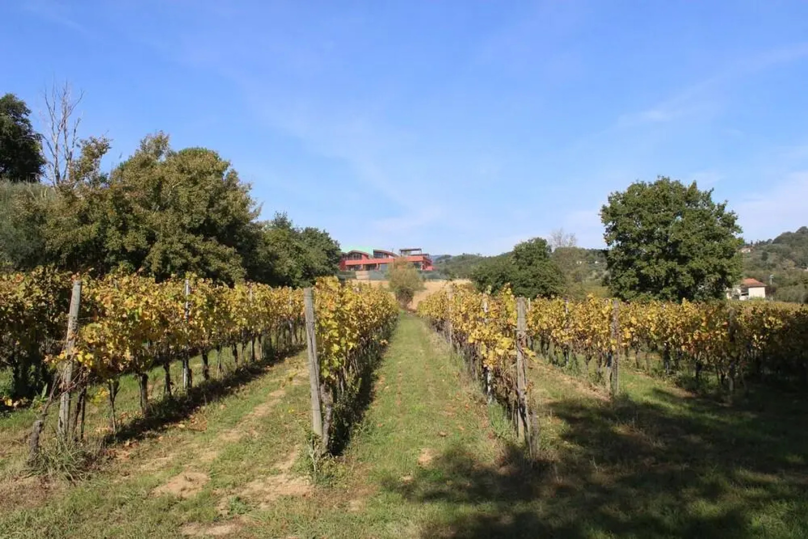 Buonamico Wine Resort