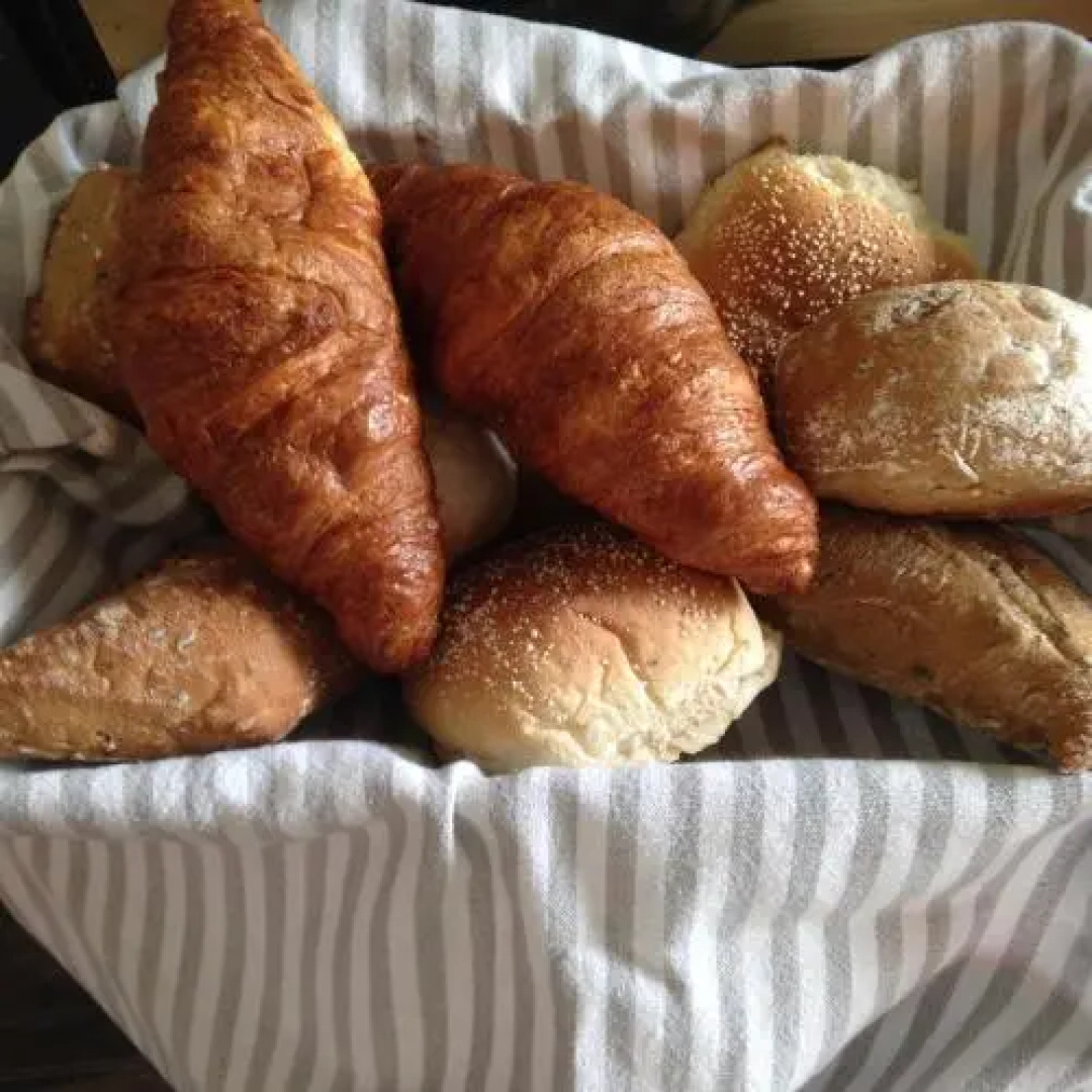 Bij en Boom Bed & Breakfast