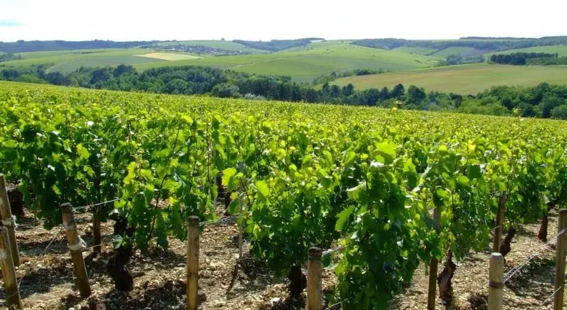 Hostellerie Saint Pierre