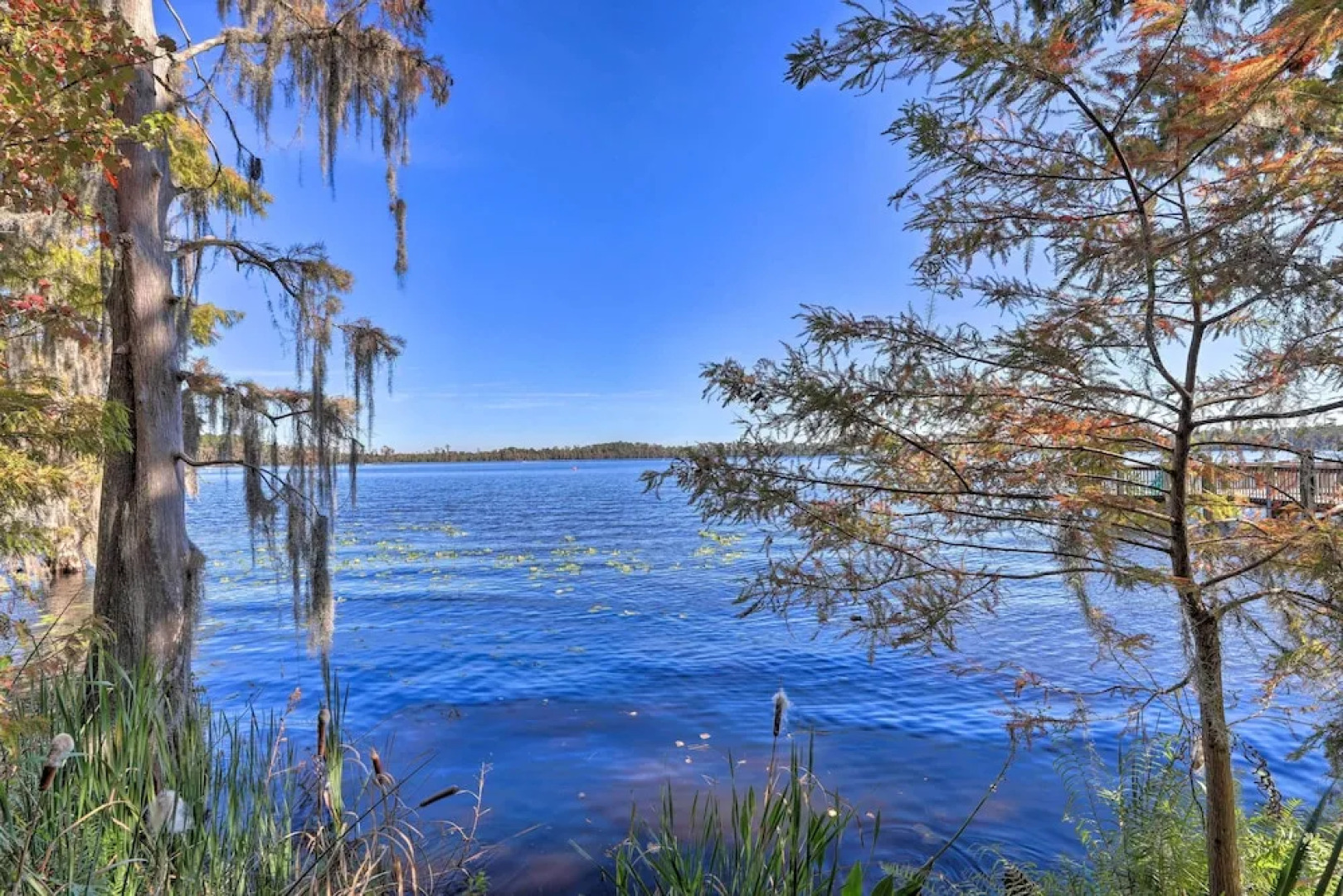 1 Mi to Disney: Lakefront Condo w/ Pool Access!