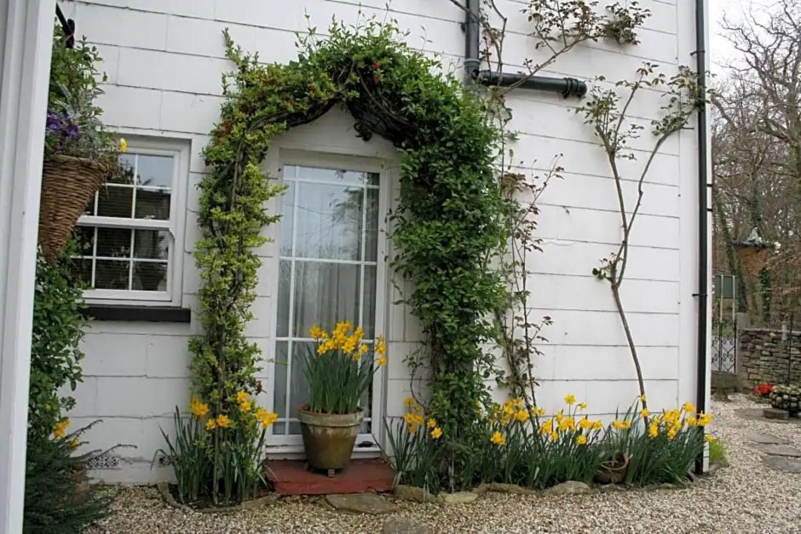 Clayhill House Bed & Breakfast