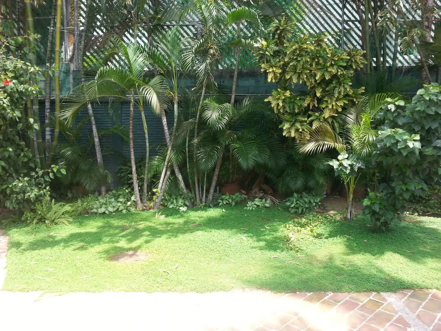 Hotel Olinalá Diamante