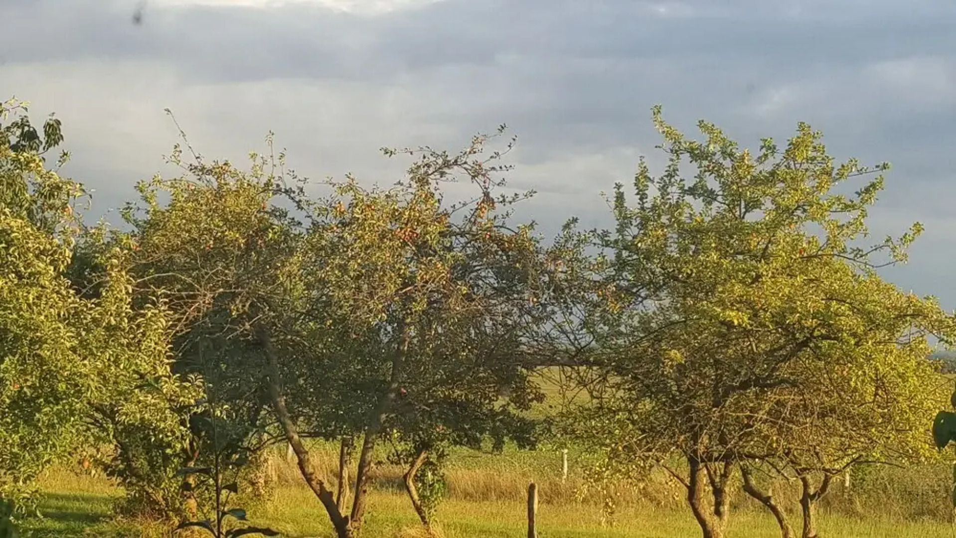 Seminar und Landhaus Schönbeck