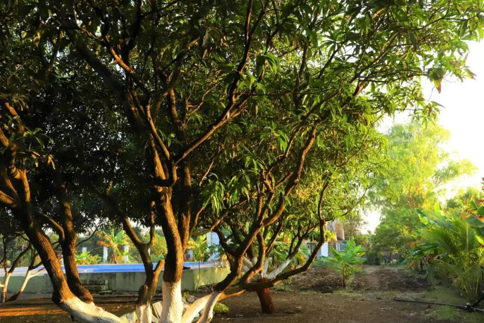 Wilderness Camp 200mtr from Devaliya Park