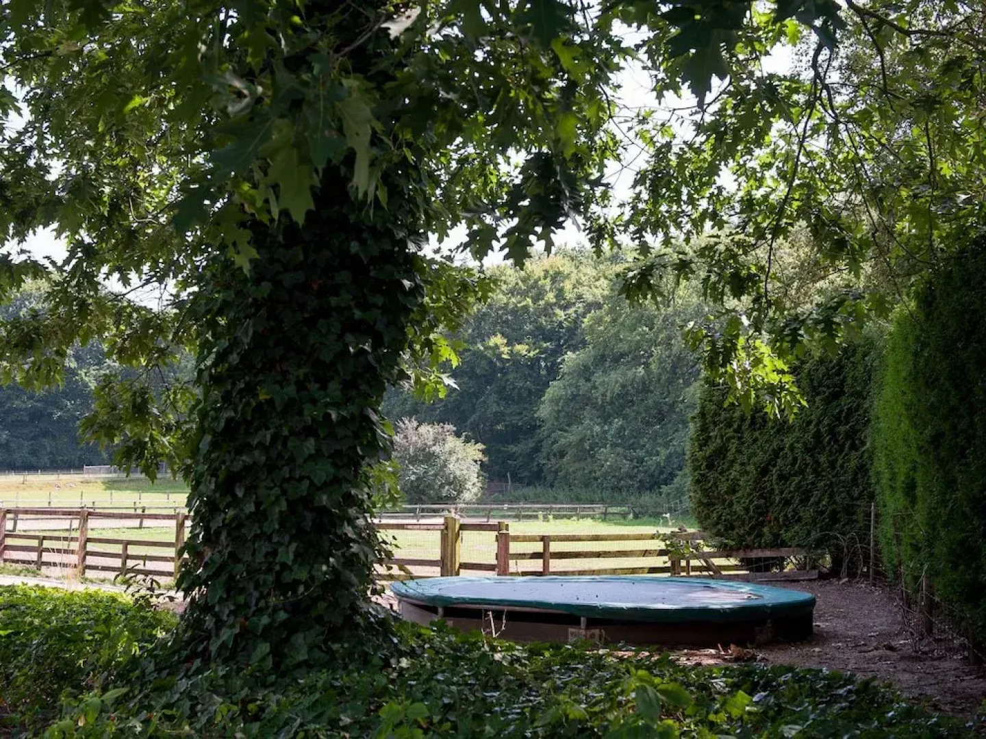 Rural Villa on a Large Estate in Rhenen With Pool & Sauna