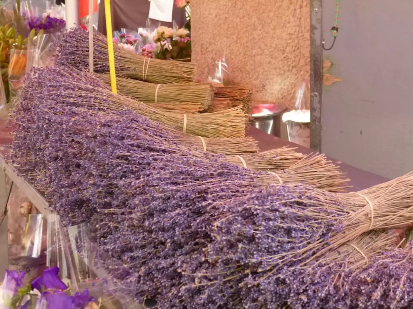 Lush Holiday Home in Cereste With Private Swimming Pool