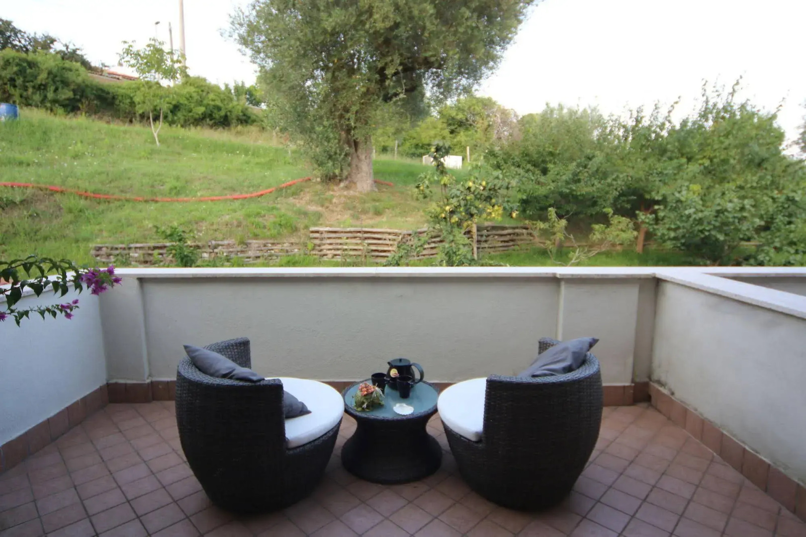 Tenuta Terre di Bosco