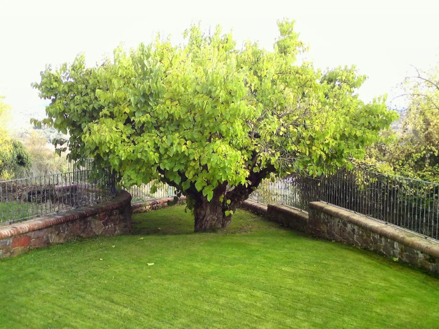 Casa rural el Vallejo