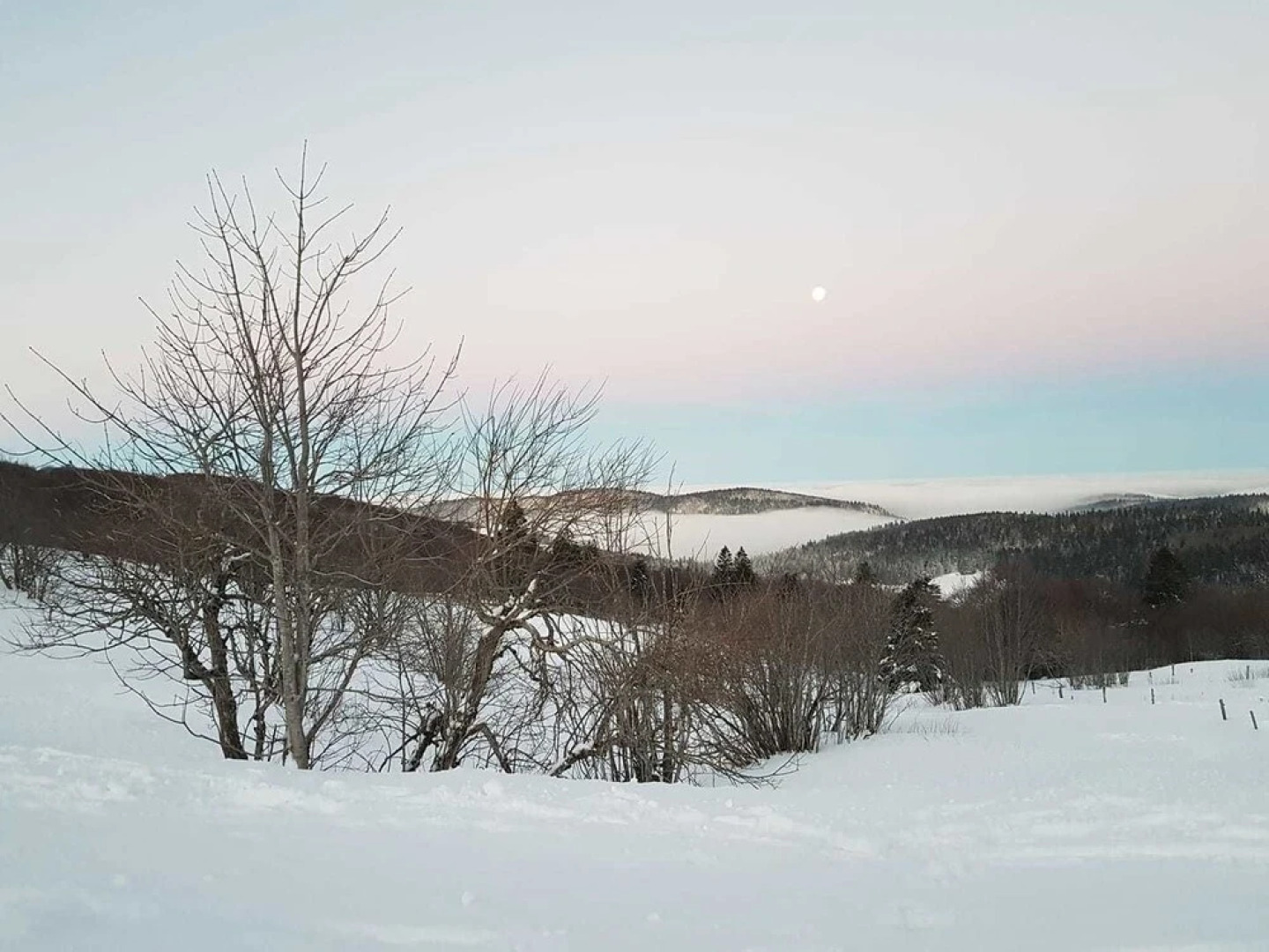 Petit Sorbier - Les Chalets du Sorbier