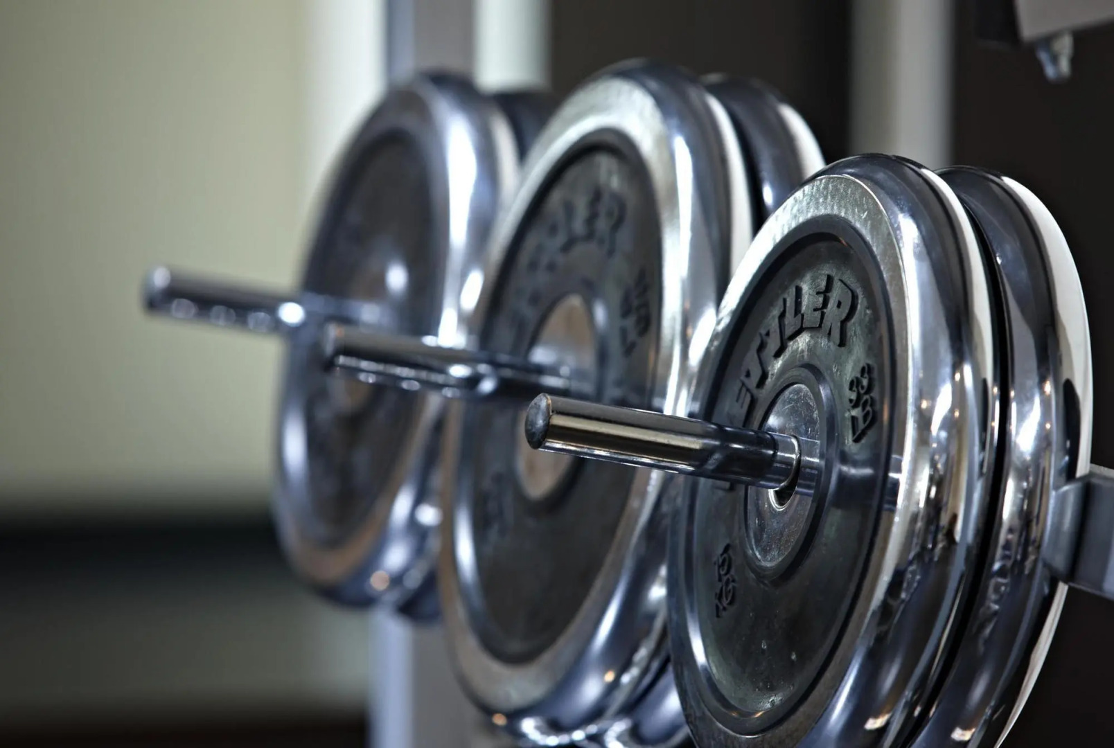 MAXX Hotel Sanssouci Potsdam