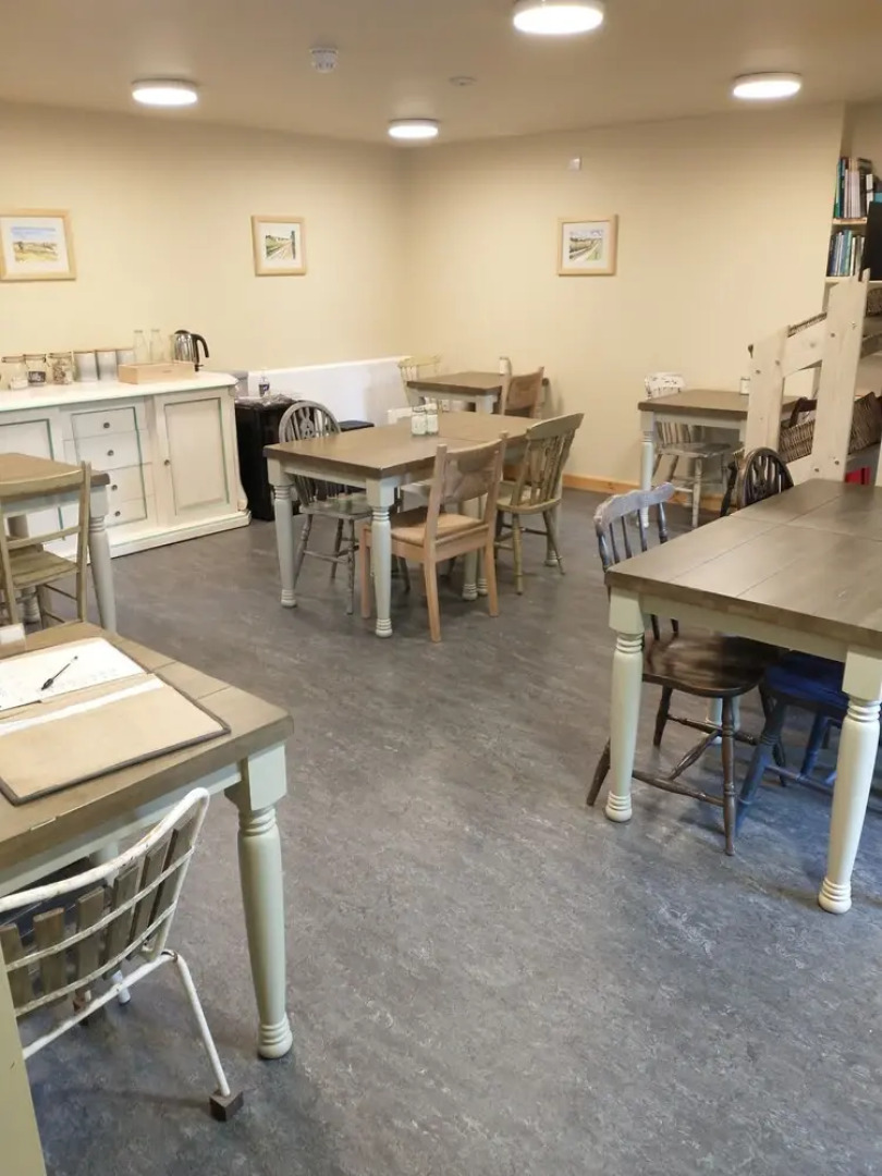 South Downs Eco Lodge and Camping