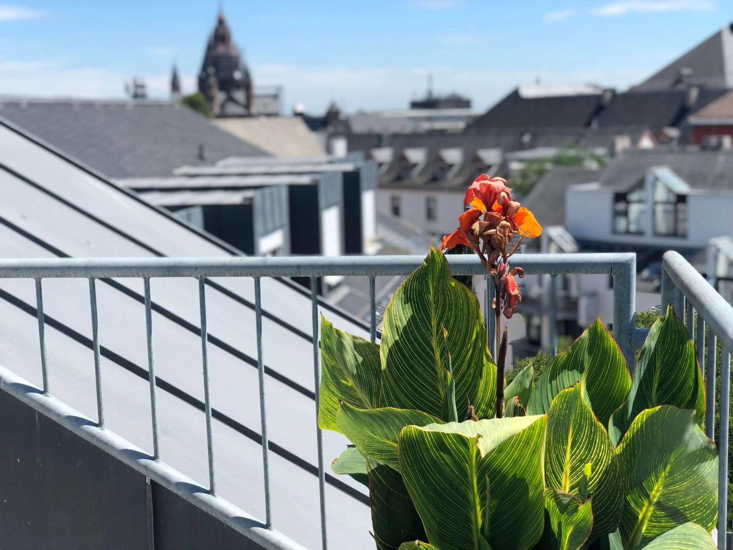 Brunfels Hotel, in the Unbound Collection by Hyatt