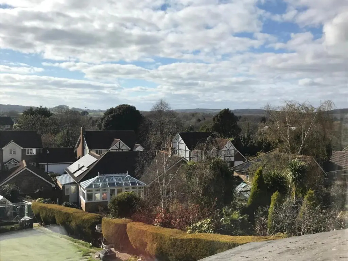 The Drey (Adults Only)