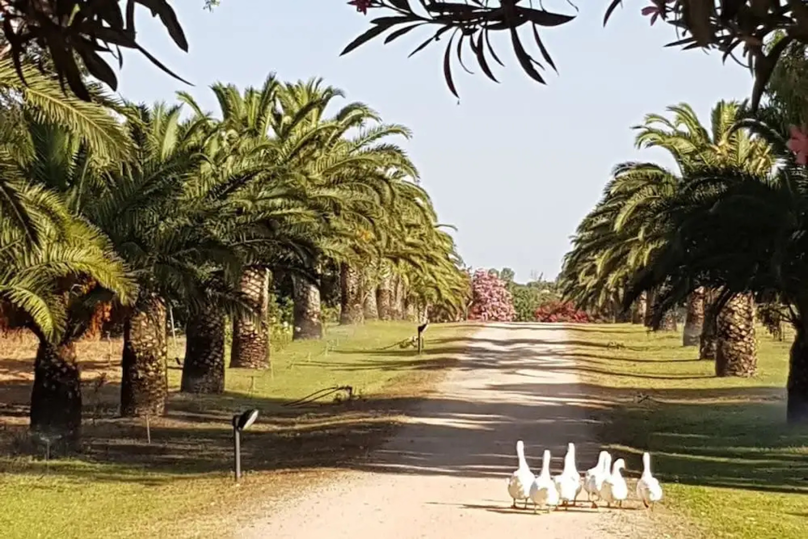 Santa Igia B&B - Country House