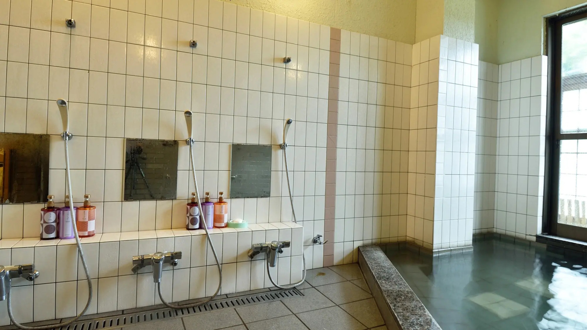 Nishidani Onsen Chuseikan