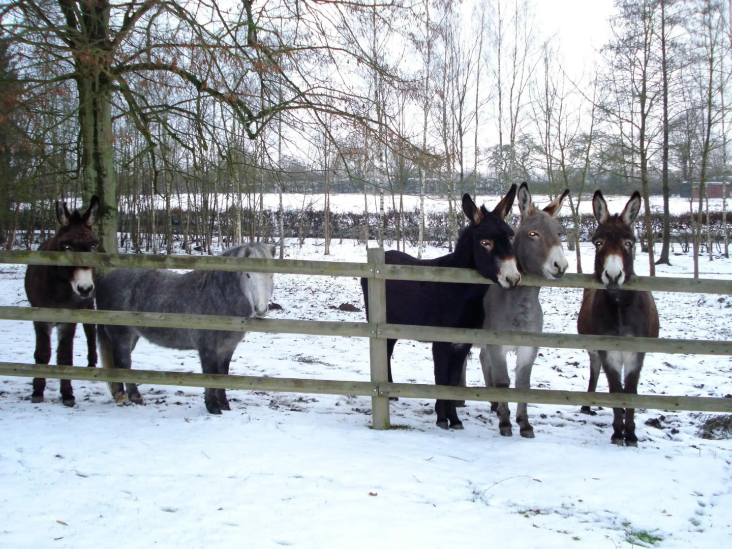 Logis hôtel du château de la motte