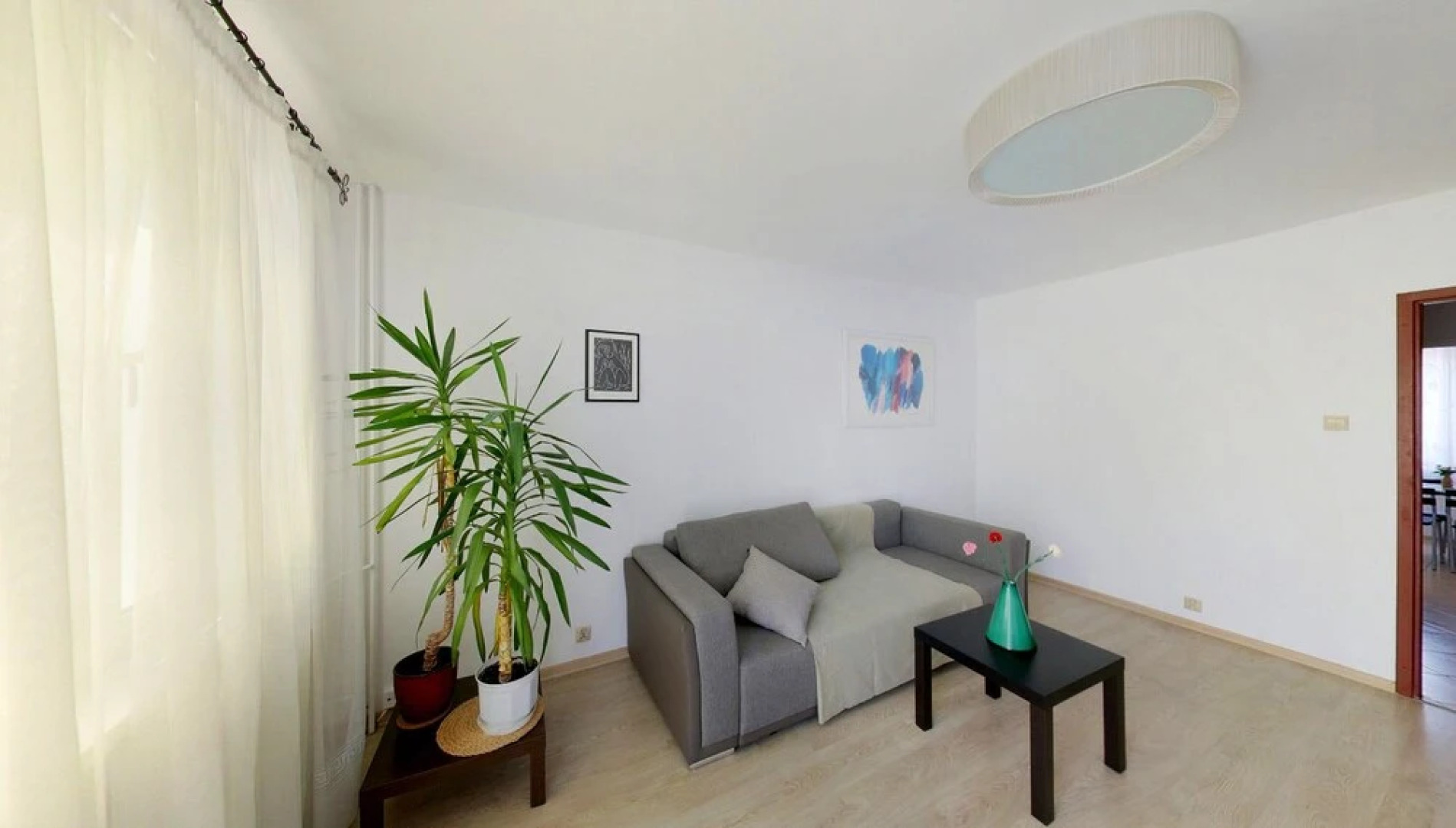 Penguin Rooms in Czestochowa