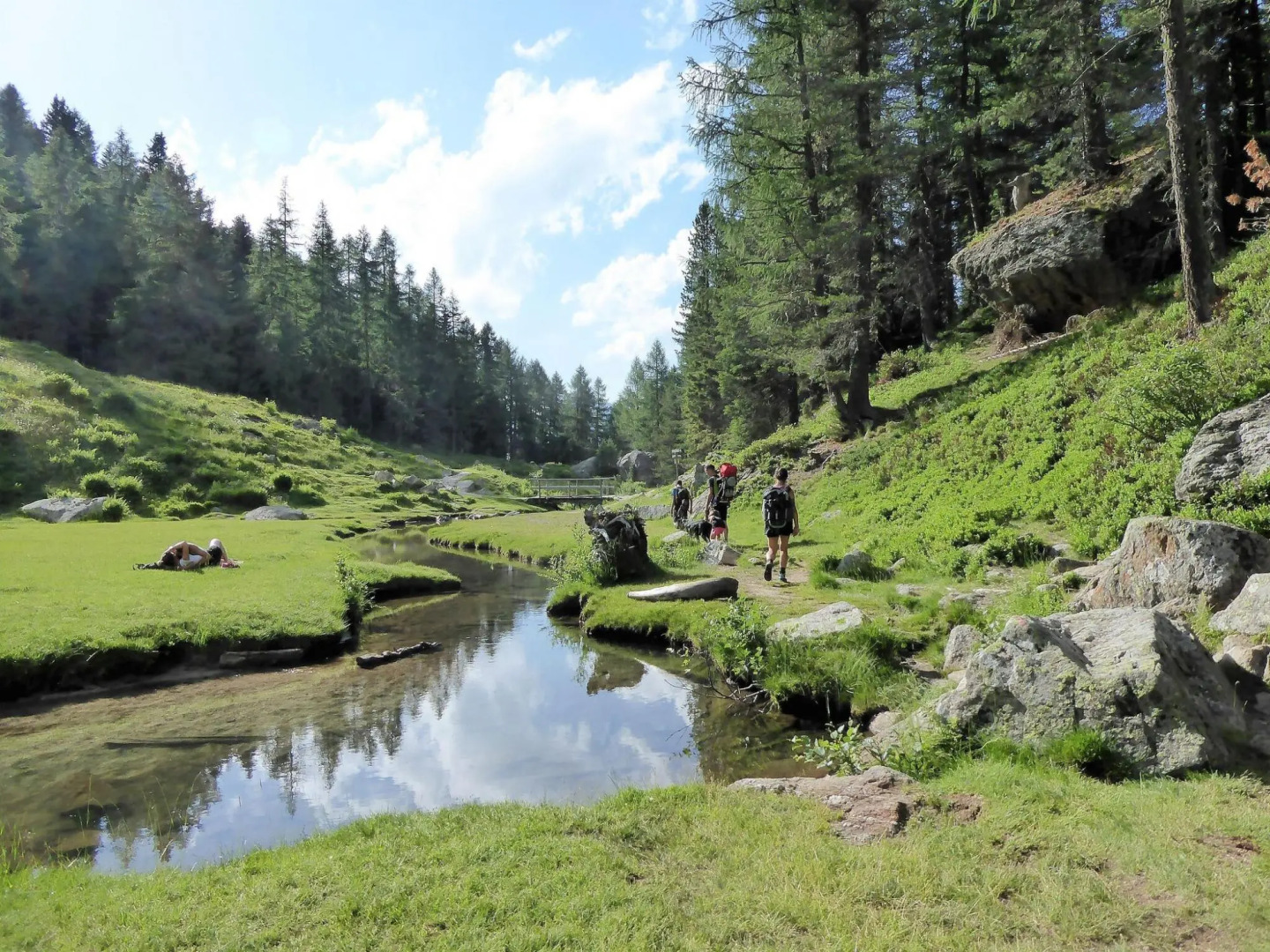 Wooden chalet in Pieve Tesino with garden