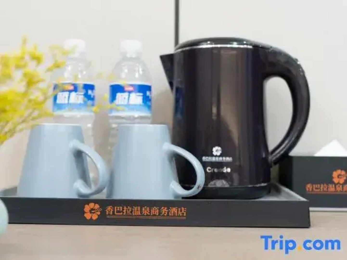 Weihui Xiangbala Hot Spring Business Hoteal