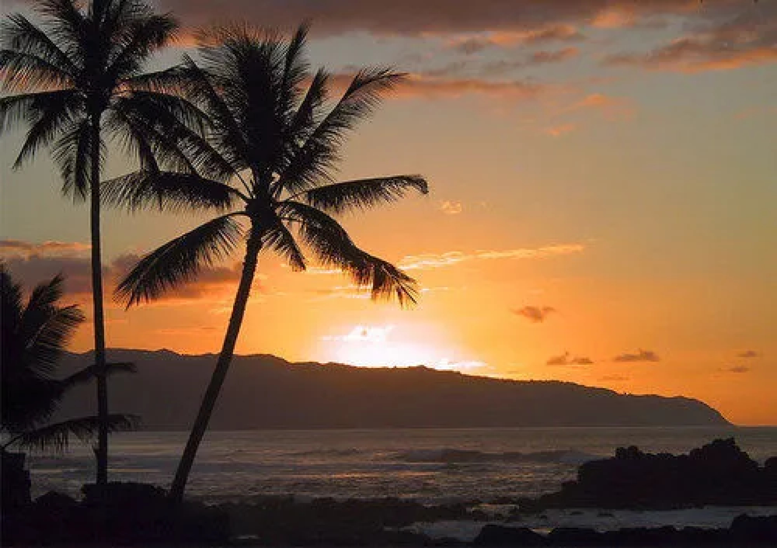 Island Beach Comber