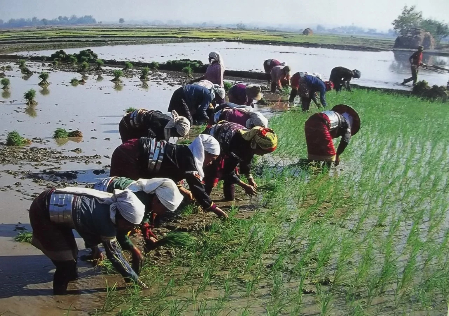 Harry'S Trekking House & Adventure Tours