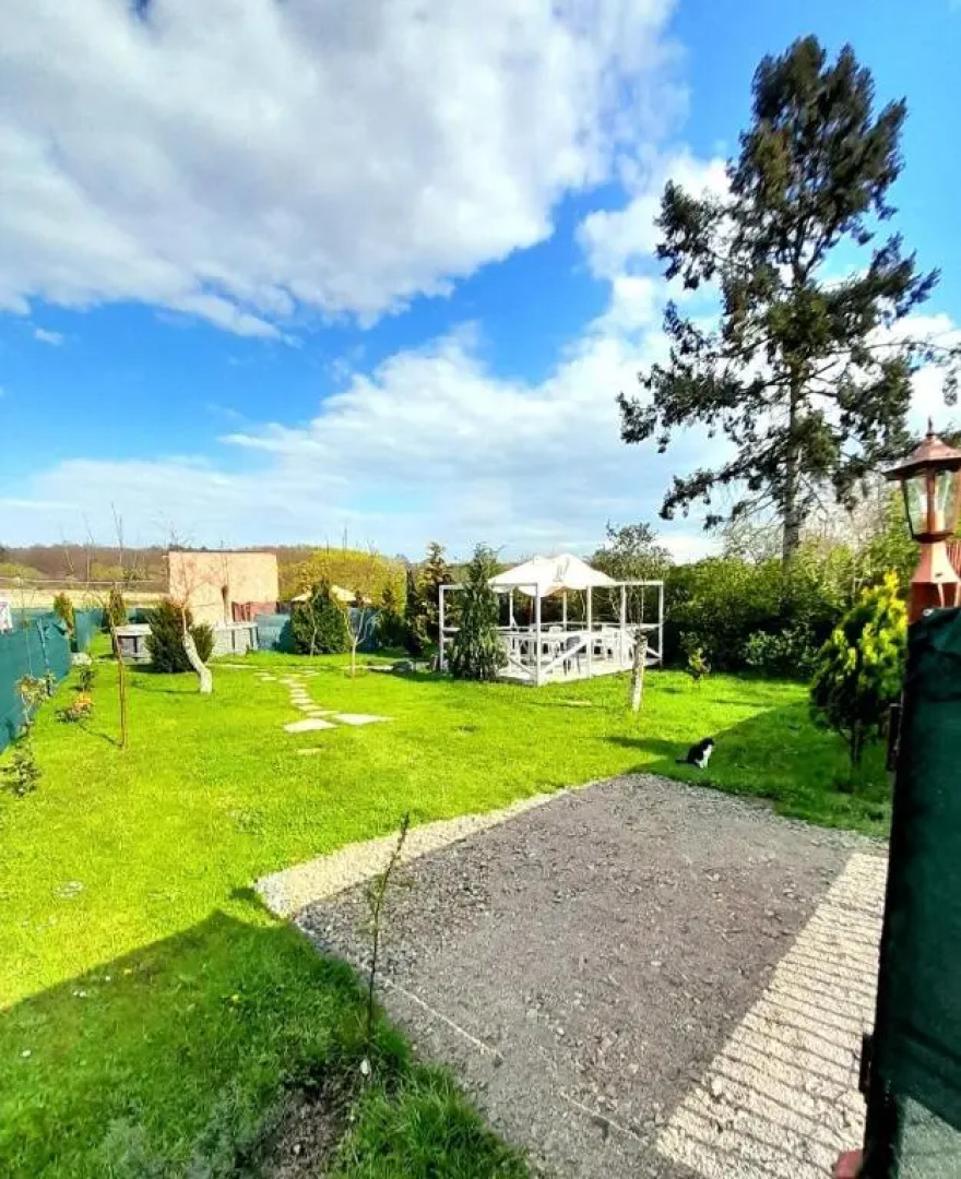 Tiny House in the City