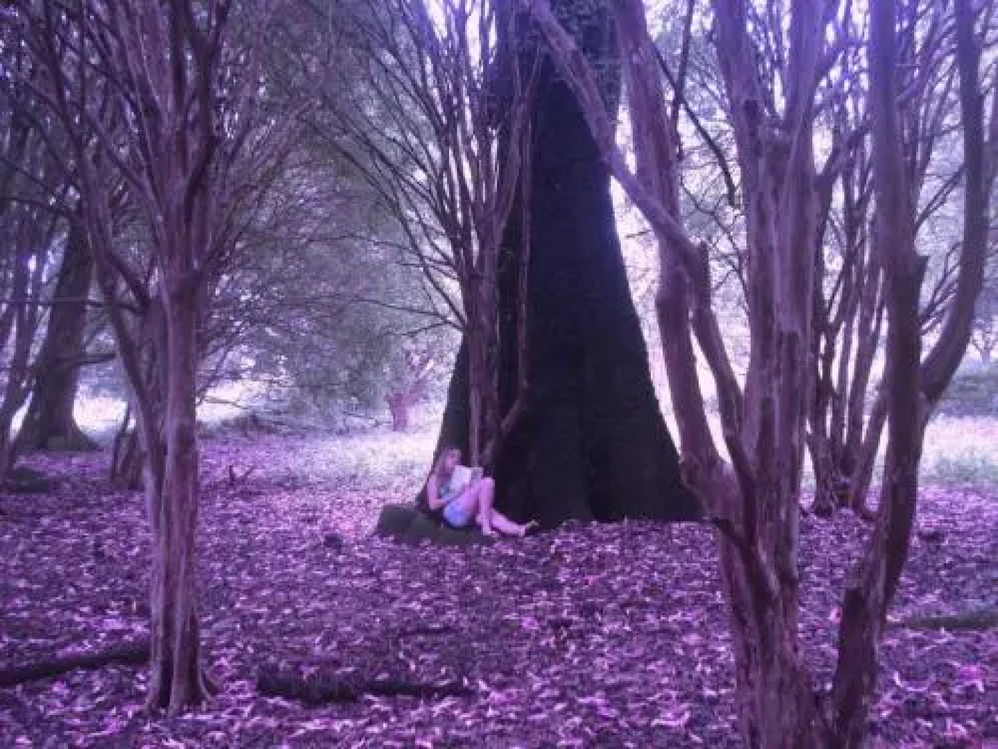 Pousada Fazenda das Bicas