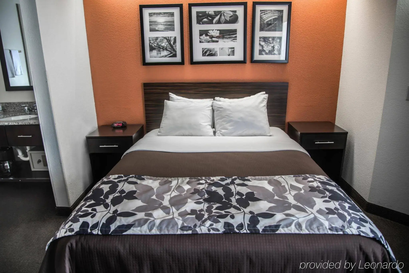 Sleep Inn DeWitt - Lansing North