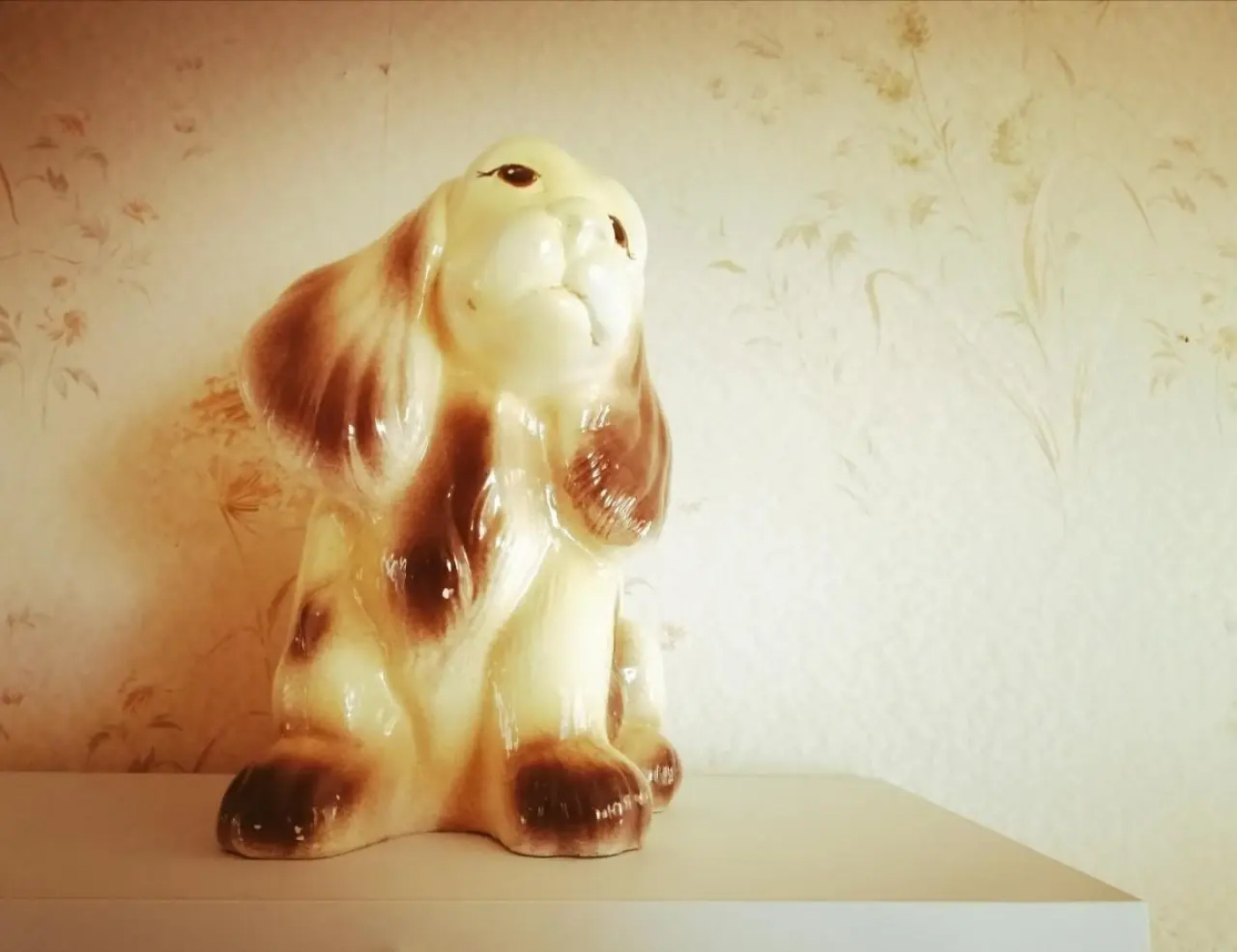 Super Central Cosy Greytown House with Garage