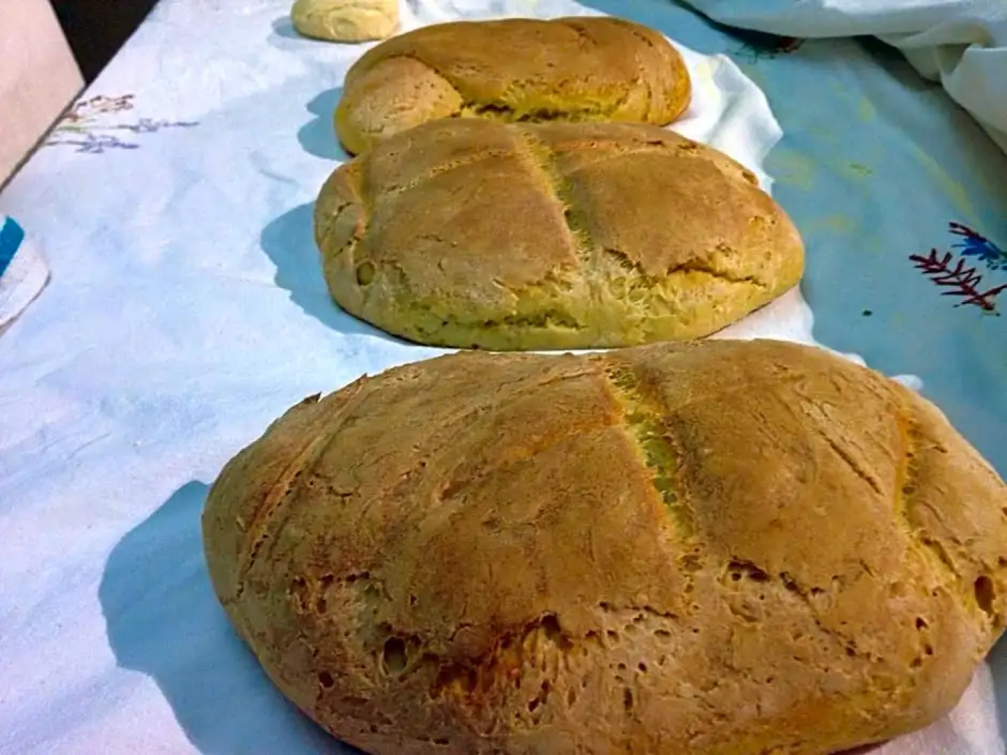 Bed & Breakfast StudioArcodia