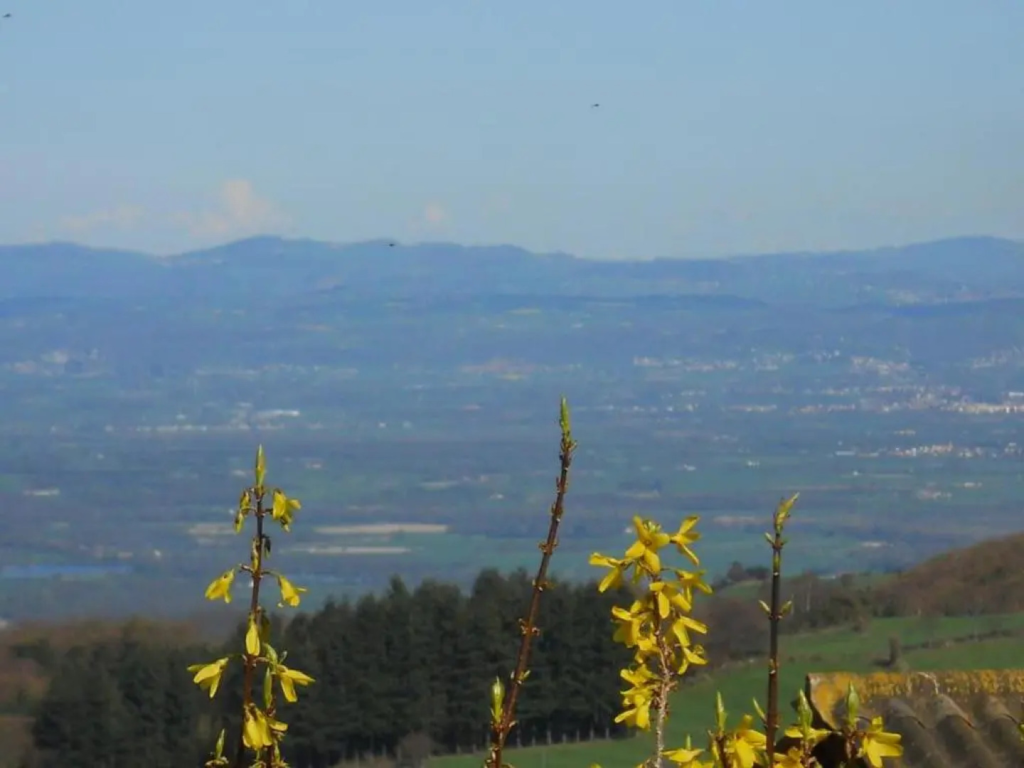 Gîte Saint-Bonnet-le-Courreau, 5 pièces, 6 personnes - FR-1-496-9